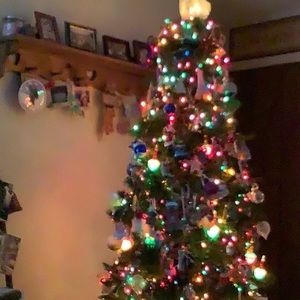 Meet your Posher, Shannon